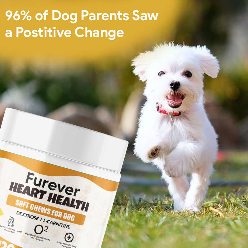 Furever™ Heart Health Soft Chews