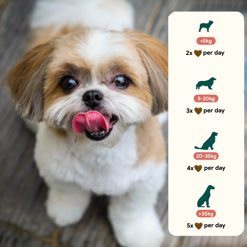 Furever™ Heart Health Soft Chews